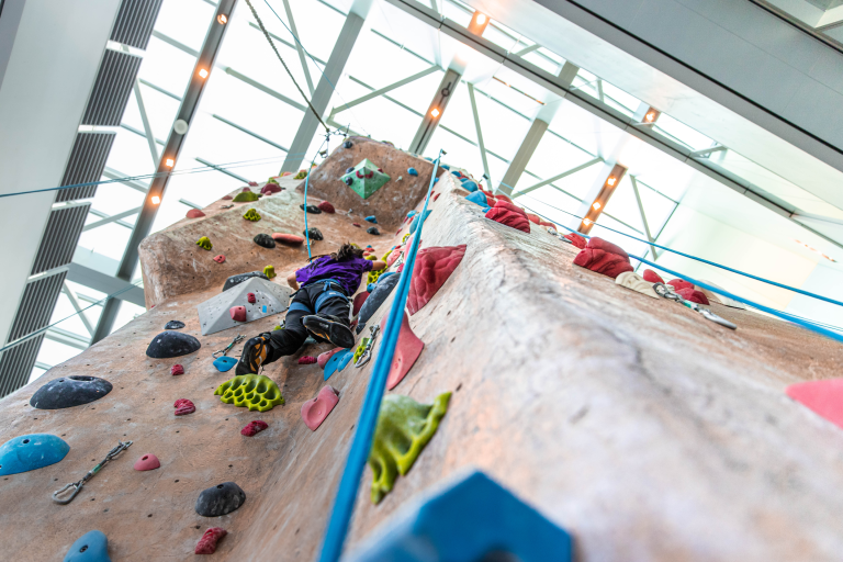 Rock Climbing Wall Hand Holds: A Comprehensive Guide